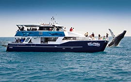 Tasman Venture Cruises